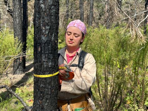 Recovery efforts underway following wildfires at University of Texas lab